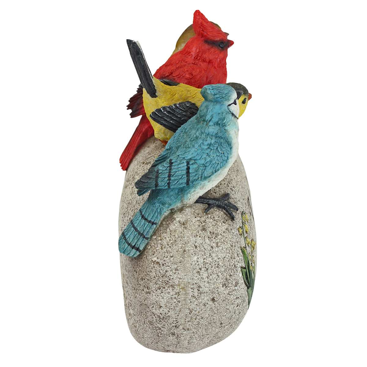 Image Thumbnail for Medium Birdy Welcome On Rock